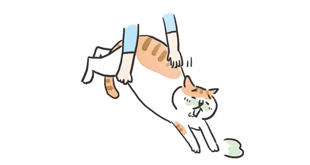 救命啊！主子溺水、触电、中毒了怎么办？！丨强档