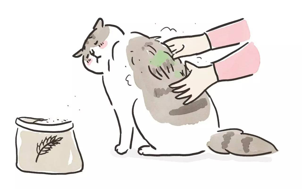 救命啊！主子溺水、触电、中毒了怎么办？！丨强档