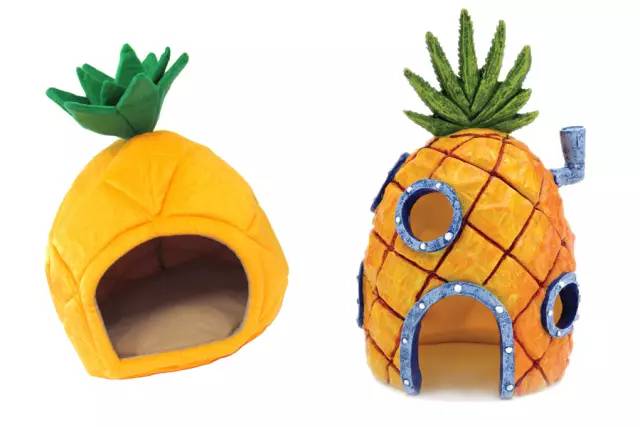 春风十里不如一颗菠萝