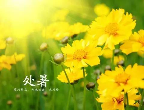 处暑养生请牢记这三条秘诀,明日处暑养生知识