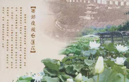 衡阳八景分别在什么区,作为衡阳人我骄傲