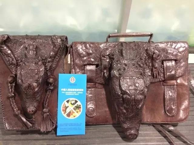 截获万花筒｜日本玳瑁、韩国金蛋、老挝蜂猴、台湾牛樟芝、非洲环尾蜥……