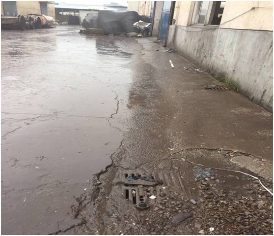 朝阳群众有多厉害,朝阳群众厉害吗