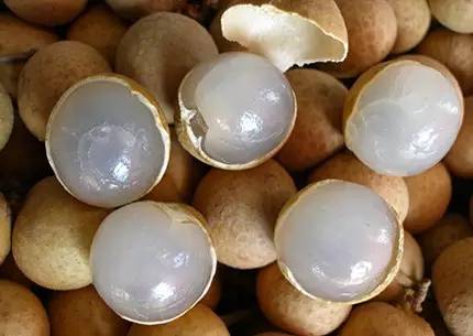 处暑养生请牢记这三条秘诀,明日处暑养生知识