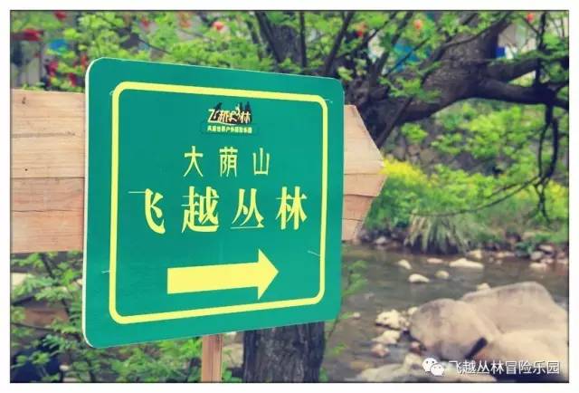 厉害了！衢州惊现1680米亚洲最长的双人高空溜索！七夕福利震撼来袭！