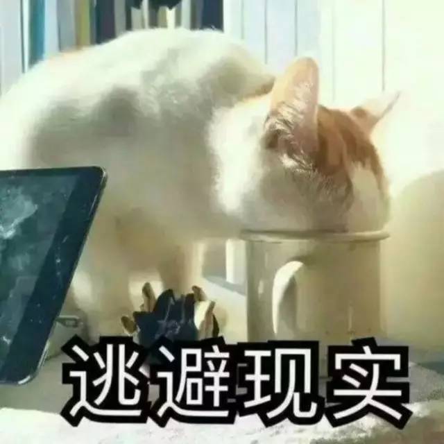 南北方差异的小总结,南北方十大差异