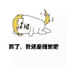 有一天,失去了网络安全,日子将过成怎样?