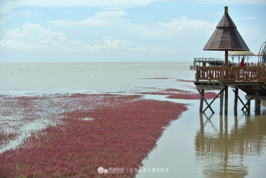 红海滩的特别之处,红海滩商标设计