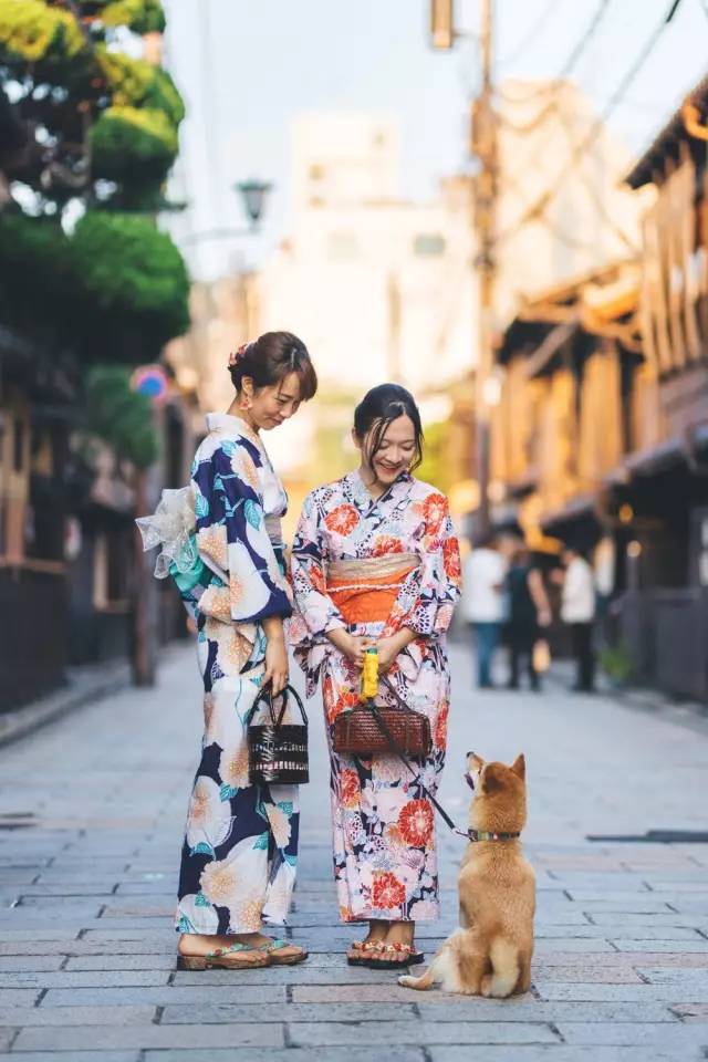 旅拍最佳搭档！精嘉VEO264CTB碳纤维折叠脚架日本京都之行