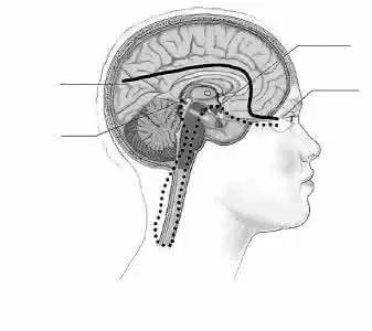 「生活」天津各大医院科室王牌专家大全!收好,进门就能找对人!