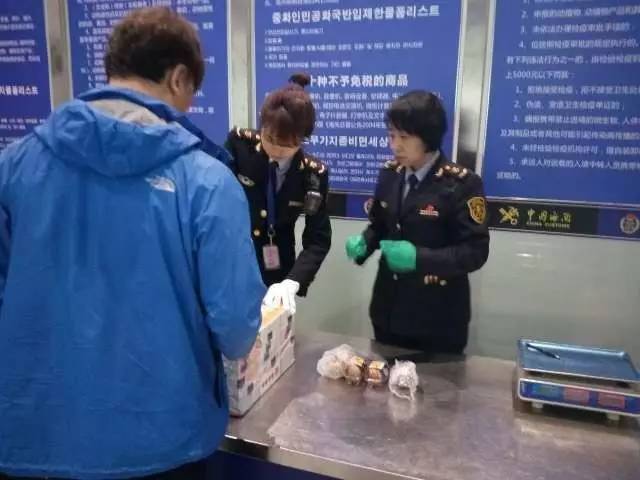 截获万花筒｜日本玳瑁、韩国金蛋、老挝蜂猴、台湾牛樟芝、非洲环尾蜥……