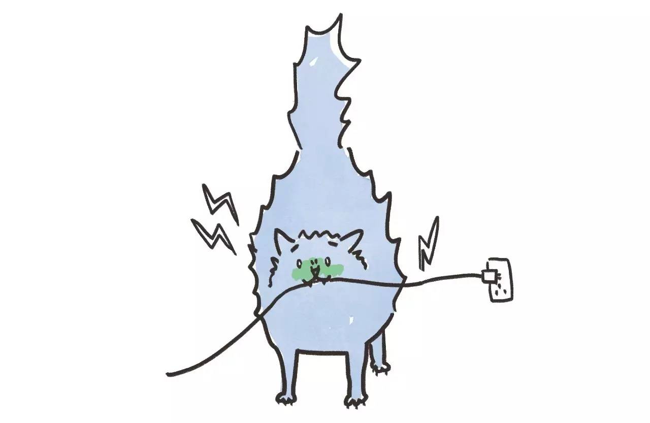 救命啊！主子溺水、触电、中毒了怎么办？！丨强档