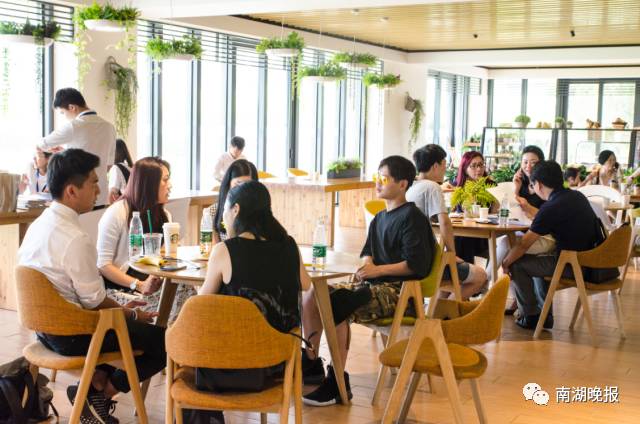 教育沙龙感言,教育走出去