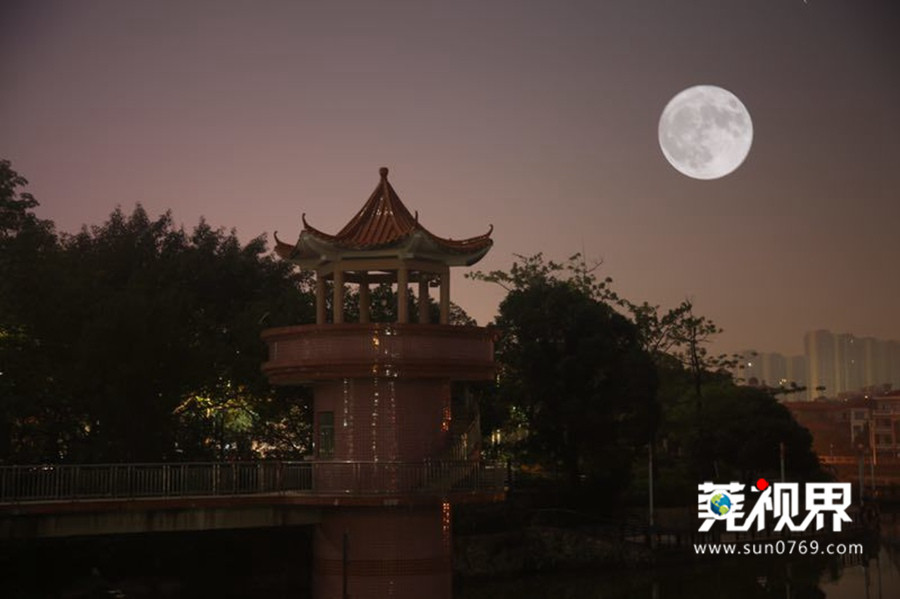 塘厦夜景图片,东莞塘厦天桥夜景视频