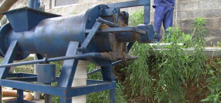 清理厕所大作战,猪粪自动清理