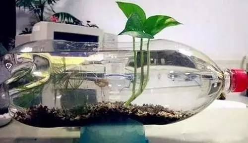 教你巧制精美花盆,做花盆大全简单方法