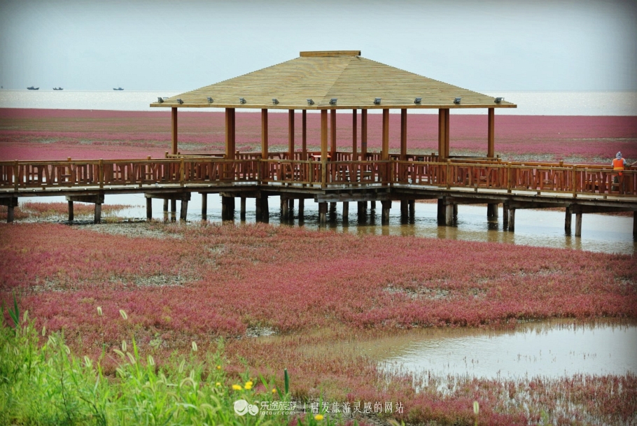 红海滩的特别之处,红海滩商标设计