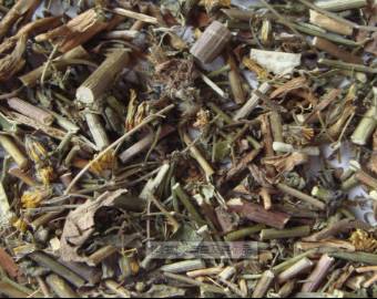 中药知识必学旱莲草,中药知识必学泽兰