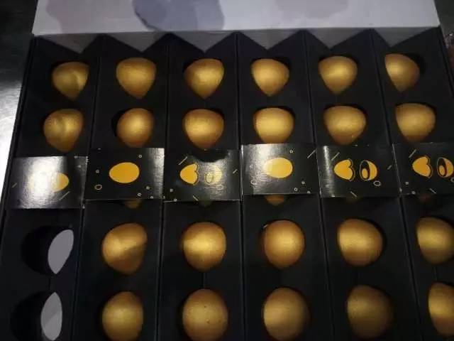 截获万花筒｜日本玳瑁、韩国金蛋、老挝蜂猴、台湾牛樟芝、非洲环尾蜥……