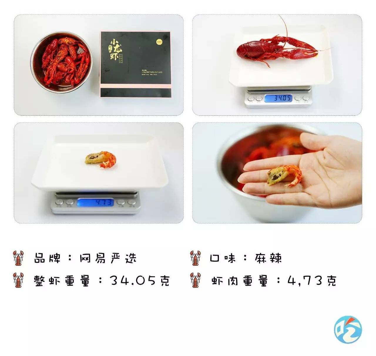 小龙虾收官之作,网购17进5争夺战!