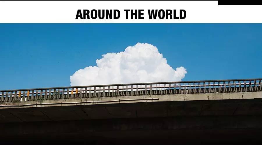 春风十里不如一颗菠萝