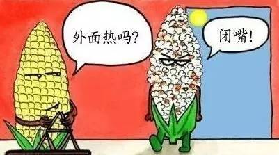 受寒会导致甲亢吗,甲亢会热出来吗