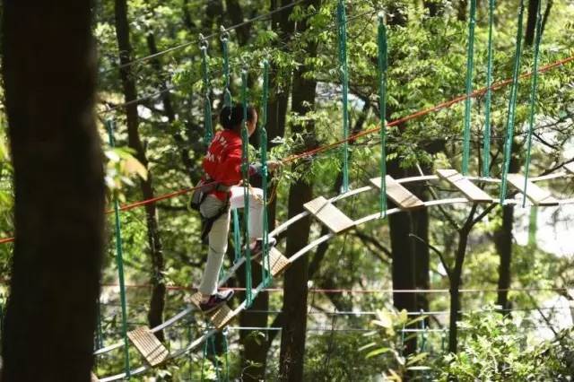 厉害了！衢州惊现1680米亚洲最长的双人高空溜索！七夕福利震撼来袭！