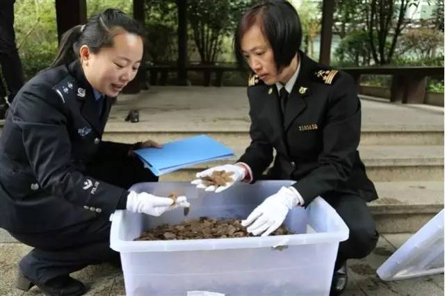 海关案件移交标准,移交海关缉私的货物会怎么处理