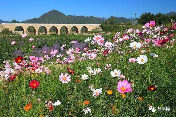 昌平区约会圣地,昌平约会