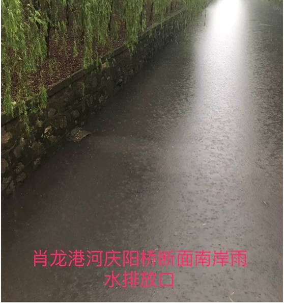 朝阳群众有多厉害,朝阳群众厉害吗