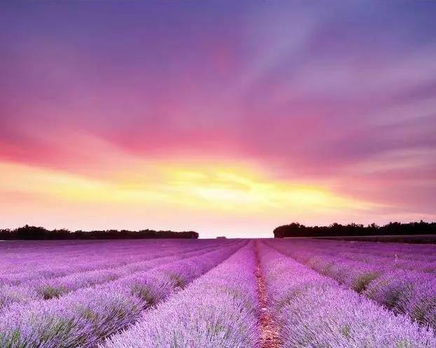 去欧洲旅游要办理所有国家签证吗,去欧洲旅游还能去吗