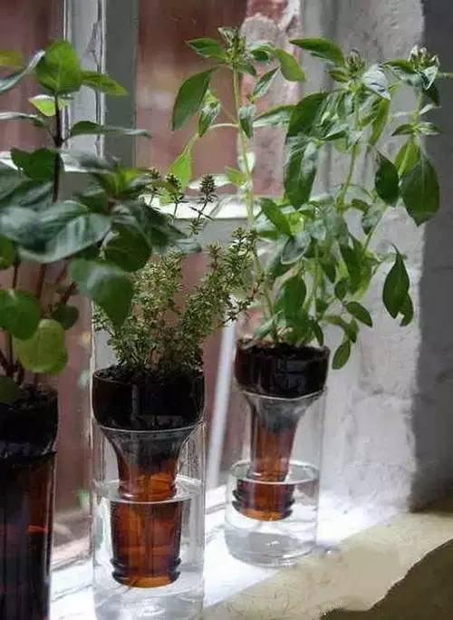 教你巧制精美花盆,做花盆大全简单方法