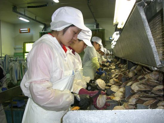 又一名留学生日本遇害,又一中国留学生在美遇害