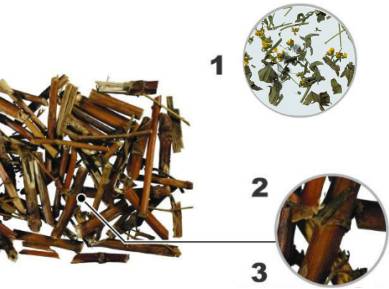 中药知识必学旱莲草,中药知识必学泽兰