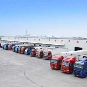 2023-2029年中国鳜鱼行业,鳜鱼养殖行业的现状与前景