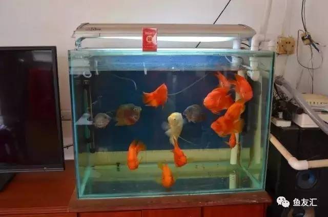 沉淀自己好处,沉淀自己的好处