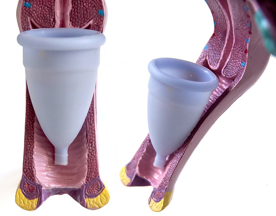 豆瓣日记:关于月亮(杯)的一切:祝你有一个环保愉快的经期