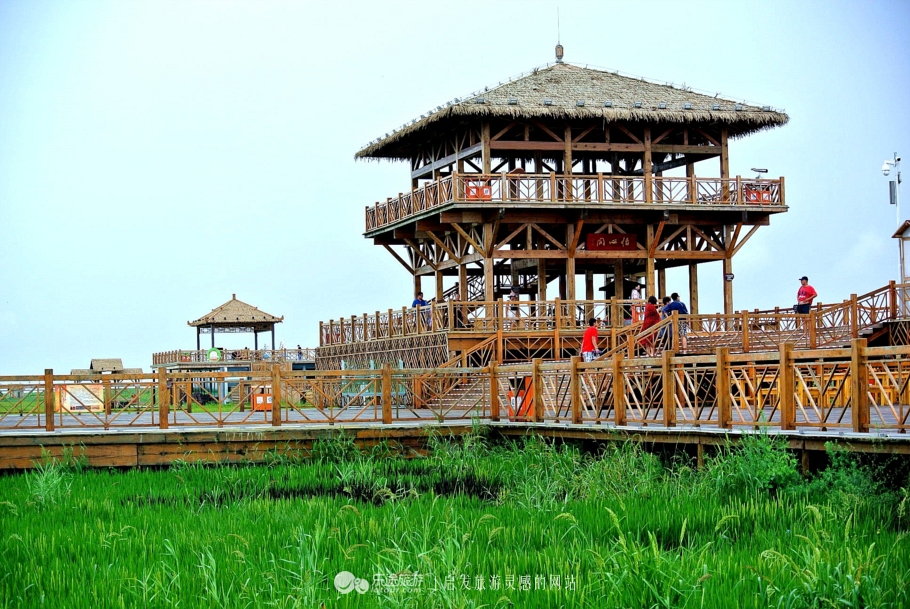 红海滩的特别之处,红海滩商标设计