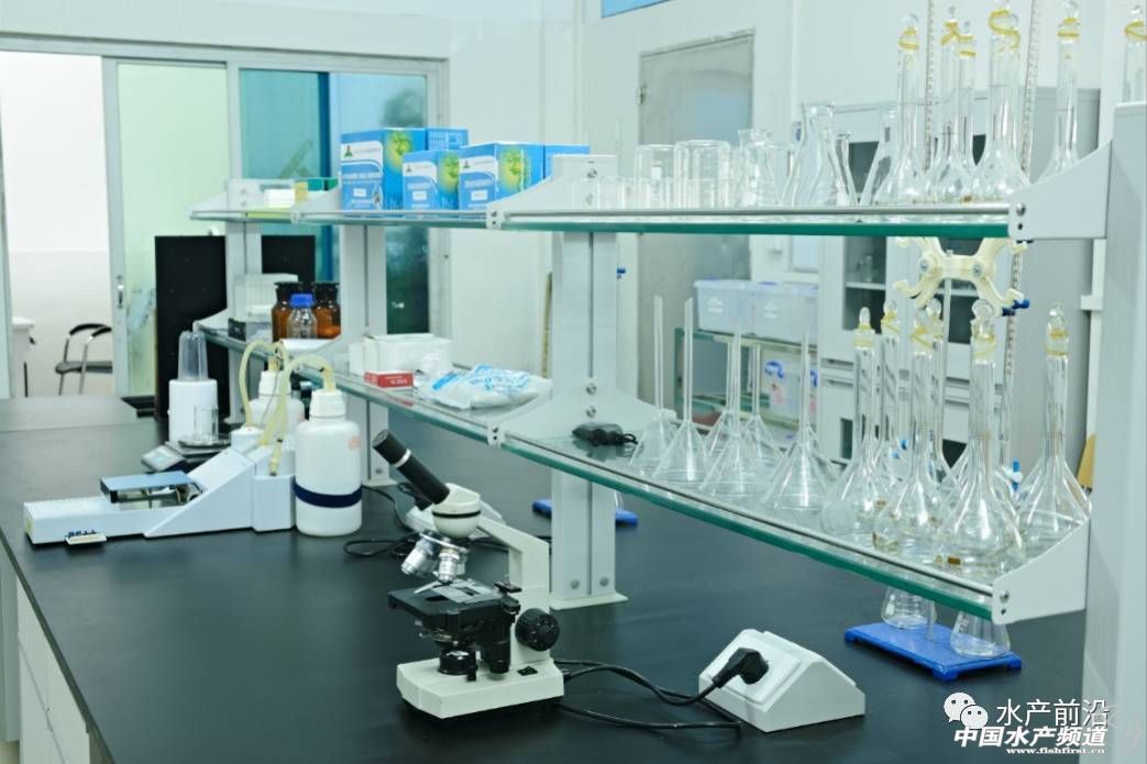 2023-2029年中国鳜鱼行业,鳜鱼养殖行业的现状与前景