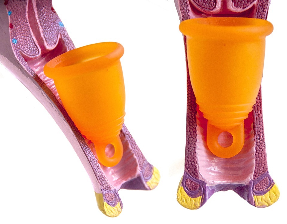 豆瓣日记:关于月亮(杯)的一切:祝你有一个环保愉快的经期