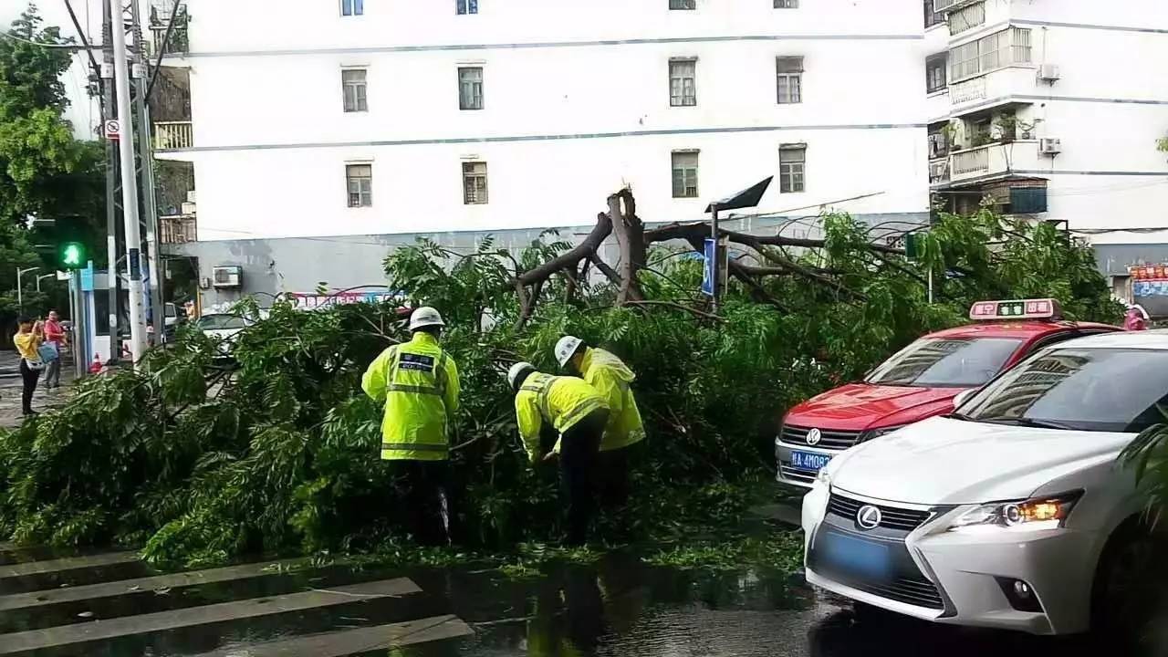 每一个你在南宁街头不知所措需要帮助的时刻,找他们,准没错!