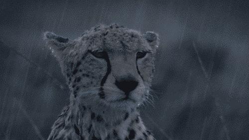 在宜信竟有27474人单身未婚，声称“工作比恋爱更靠谱”