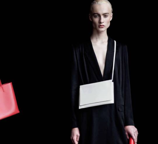 celine王菲时期,王菲和celine