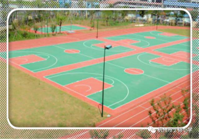 枣园学校新校区,枣园新校区