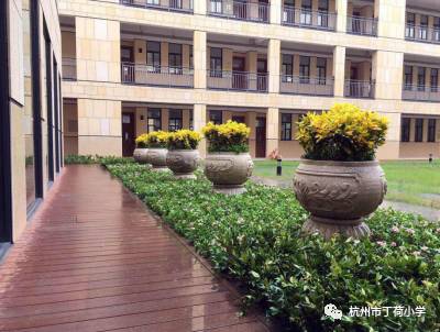 枣园学校新校区,枣园新校区