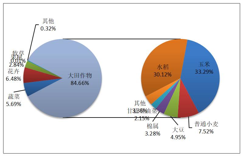 最新农作物新品种,农业部最新发布水稻新品种