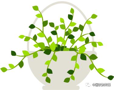 中盐安徽红四方肥业股份有限公司,中盐安徽红四方有机肥