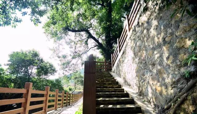 宁波北仑最好的地方,北仑有意思的地方