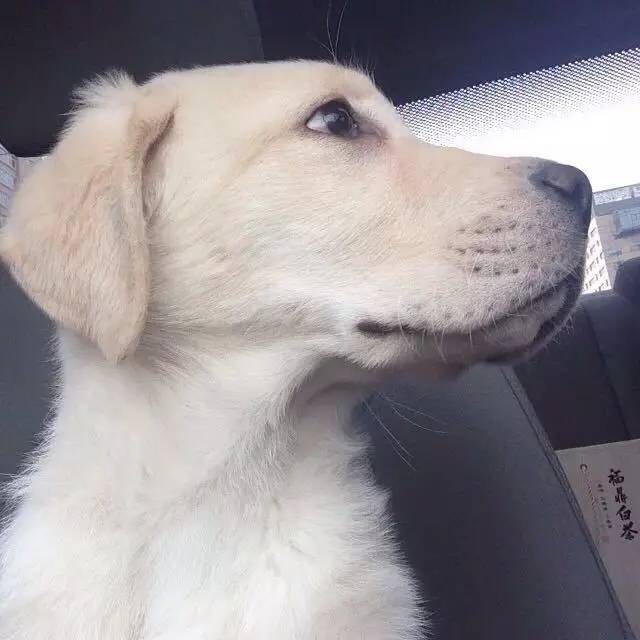 刷朋友圈其实就跟刷视频一样,刷朋友圈有意思吗