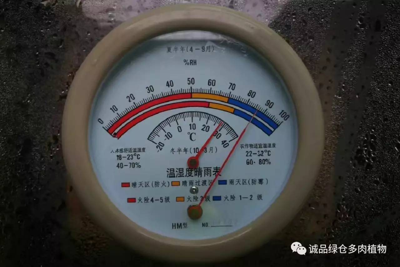 涨姿势|当不成学霸总得做一回“播”霸(夏播生石花第38天)